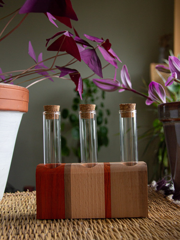 Porte Bouture Stand Alone 🌿
